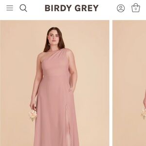 Birdy Grey Melissa Dress- English Rose Chiffon